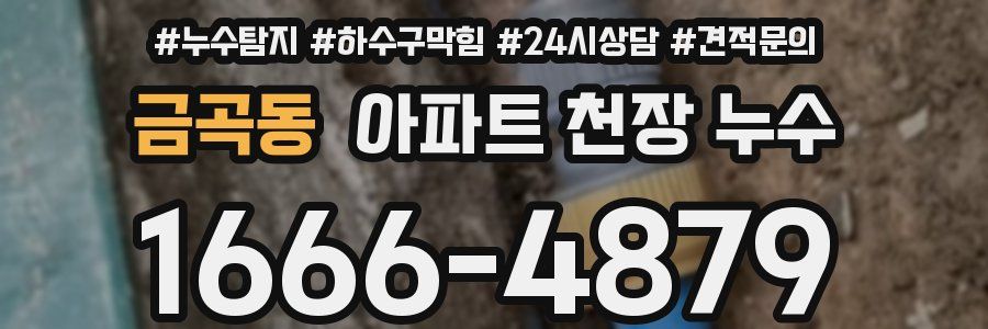 금곡동 아파트 천장 누수
