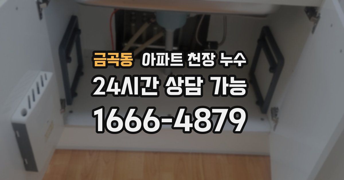 금곡동 아파트 천장 누수