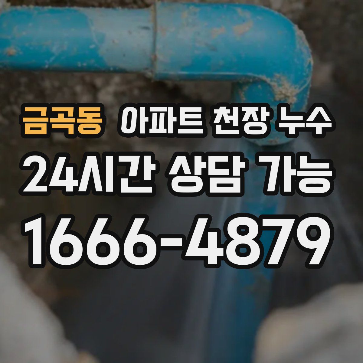 금곡동 아파트 천장 누수