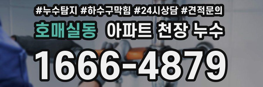 호매실동 아파트 천장 누수