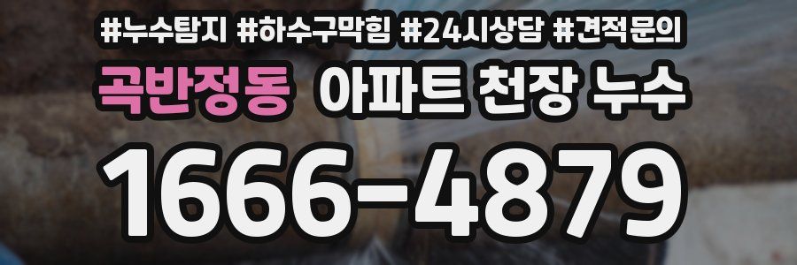 곡반정동 아파트 천장 누수