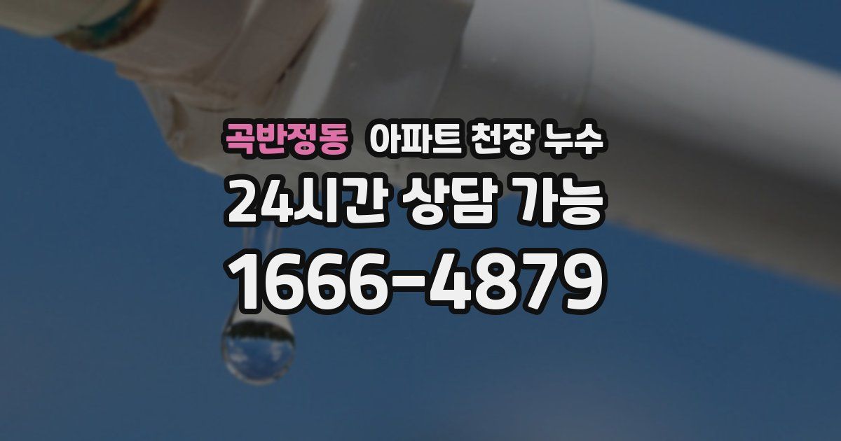 곡반정동 아파트 천장 누수
