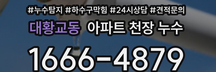 대황교동 아파트 천장 누수