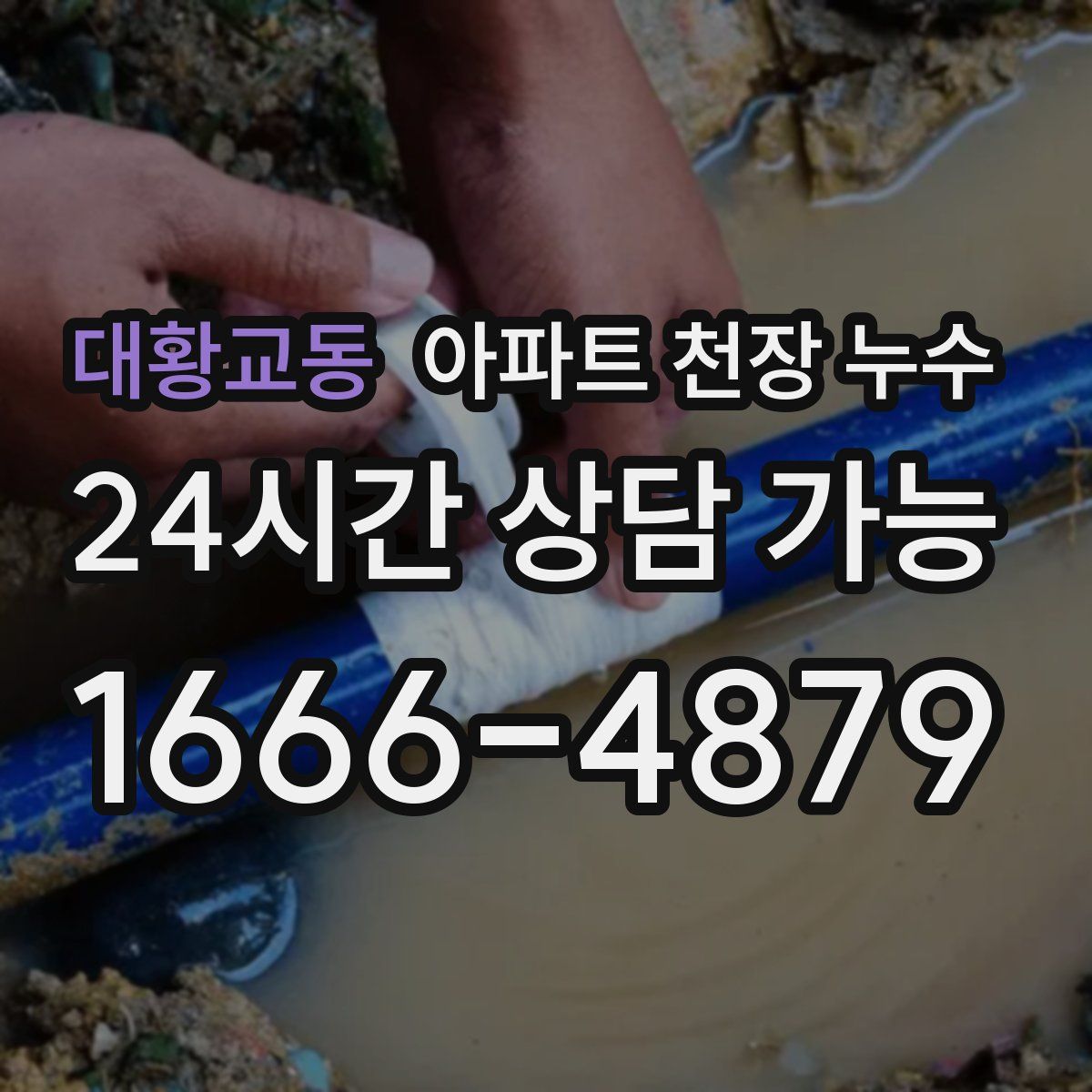 대황교동 아파트 천장 누수