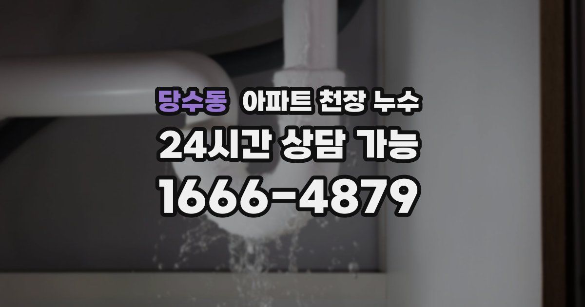당수동 아파트 천장 누수