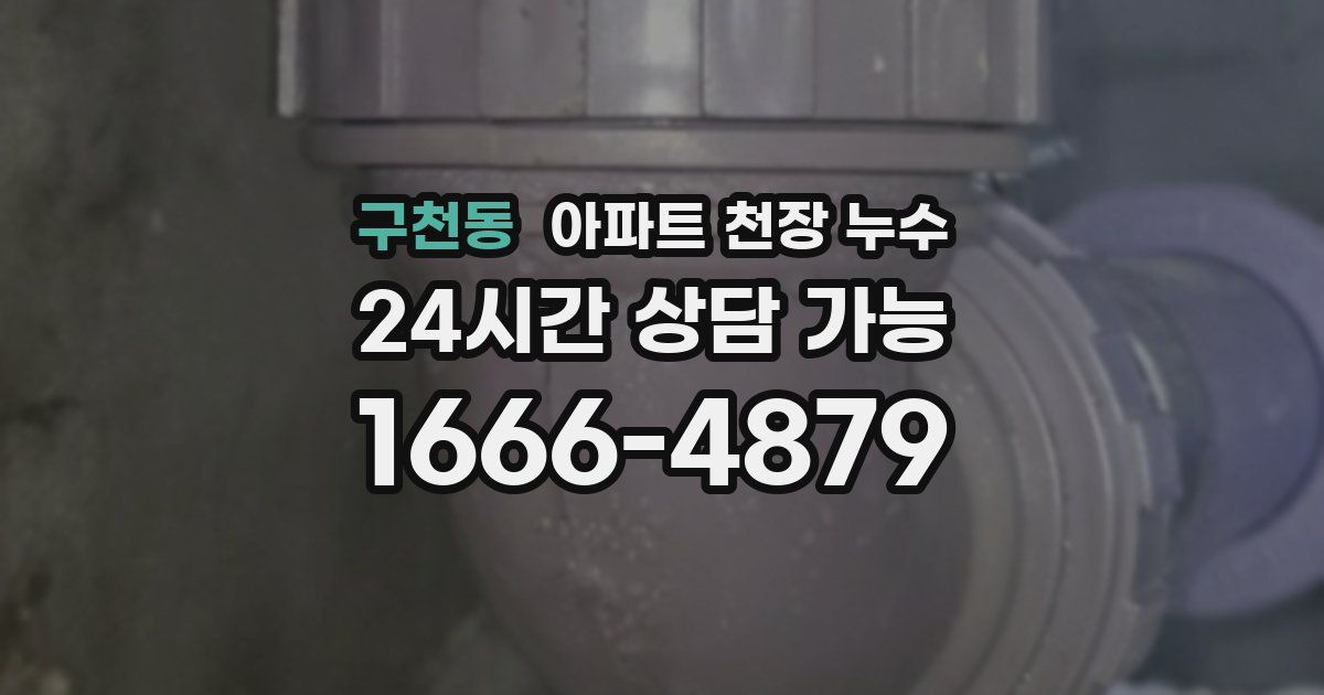 구천동 아파트 천장 누수