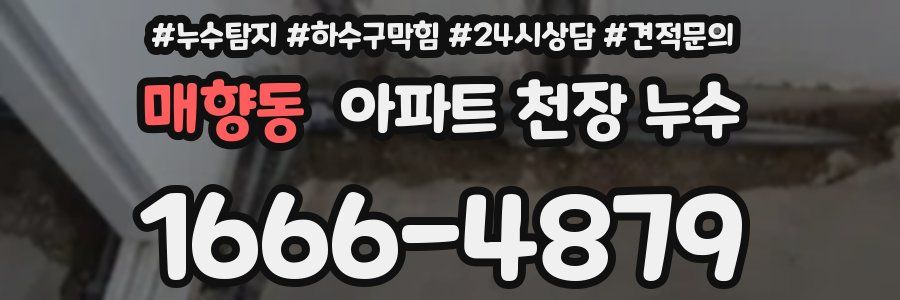 매향동 아파트 천장 누수