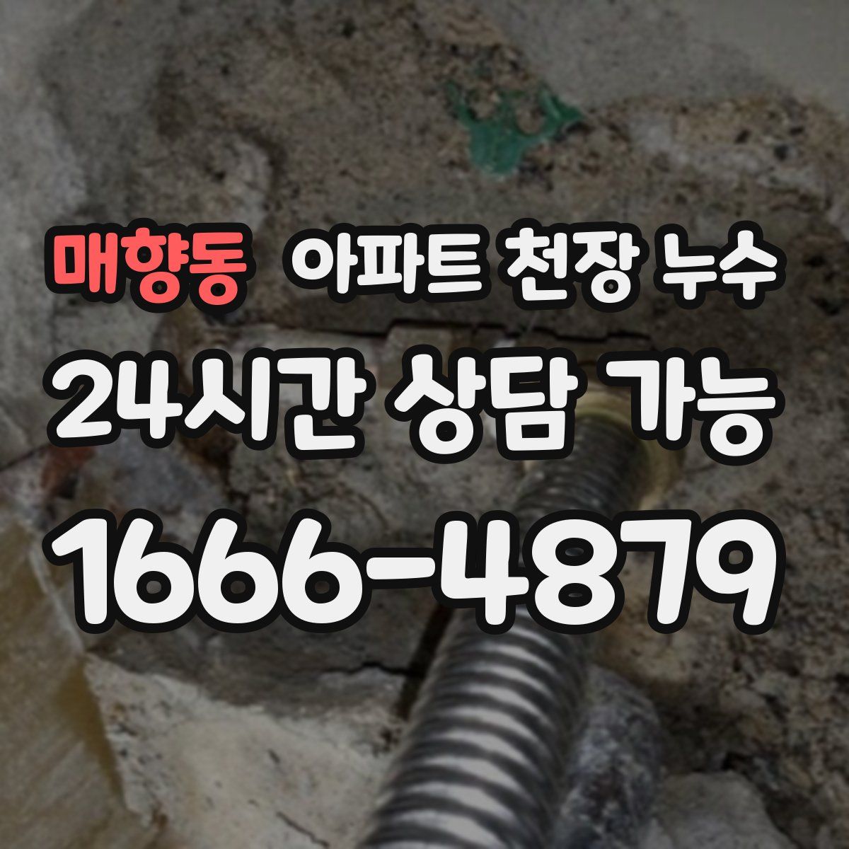 매향동 아파트 천장 누수