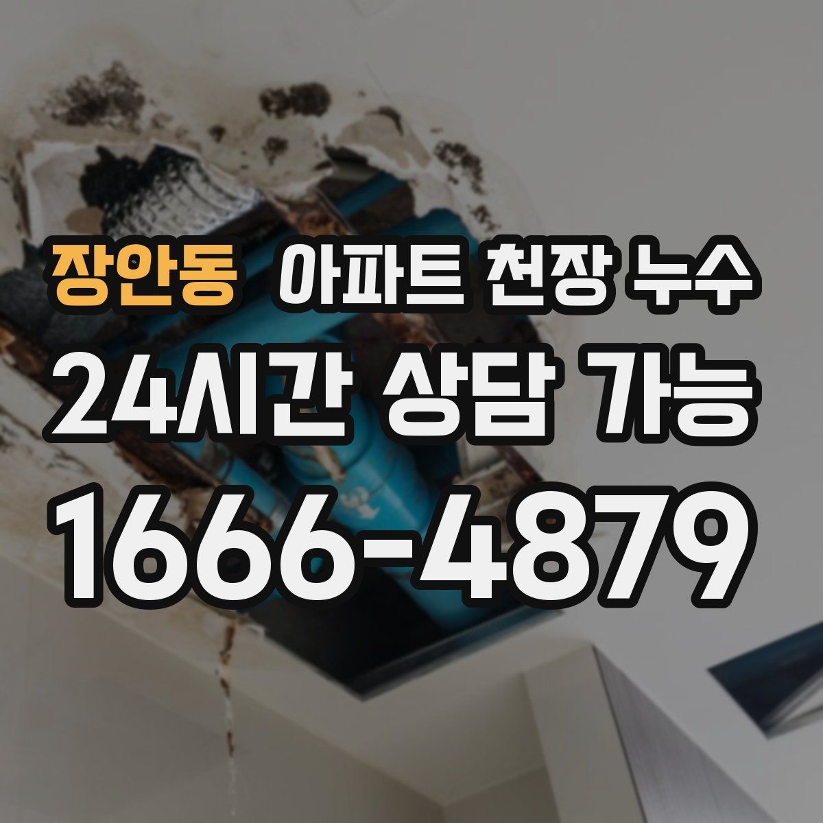 장안동 아파트 천장 누수