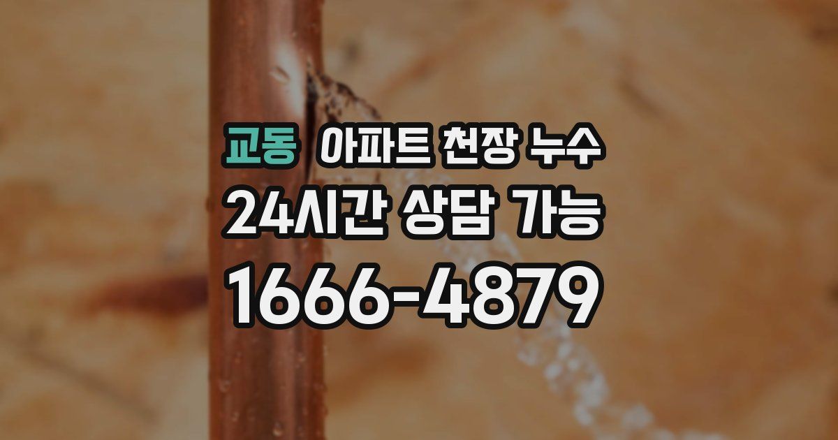 교동 아파트 천장 누수