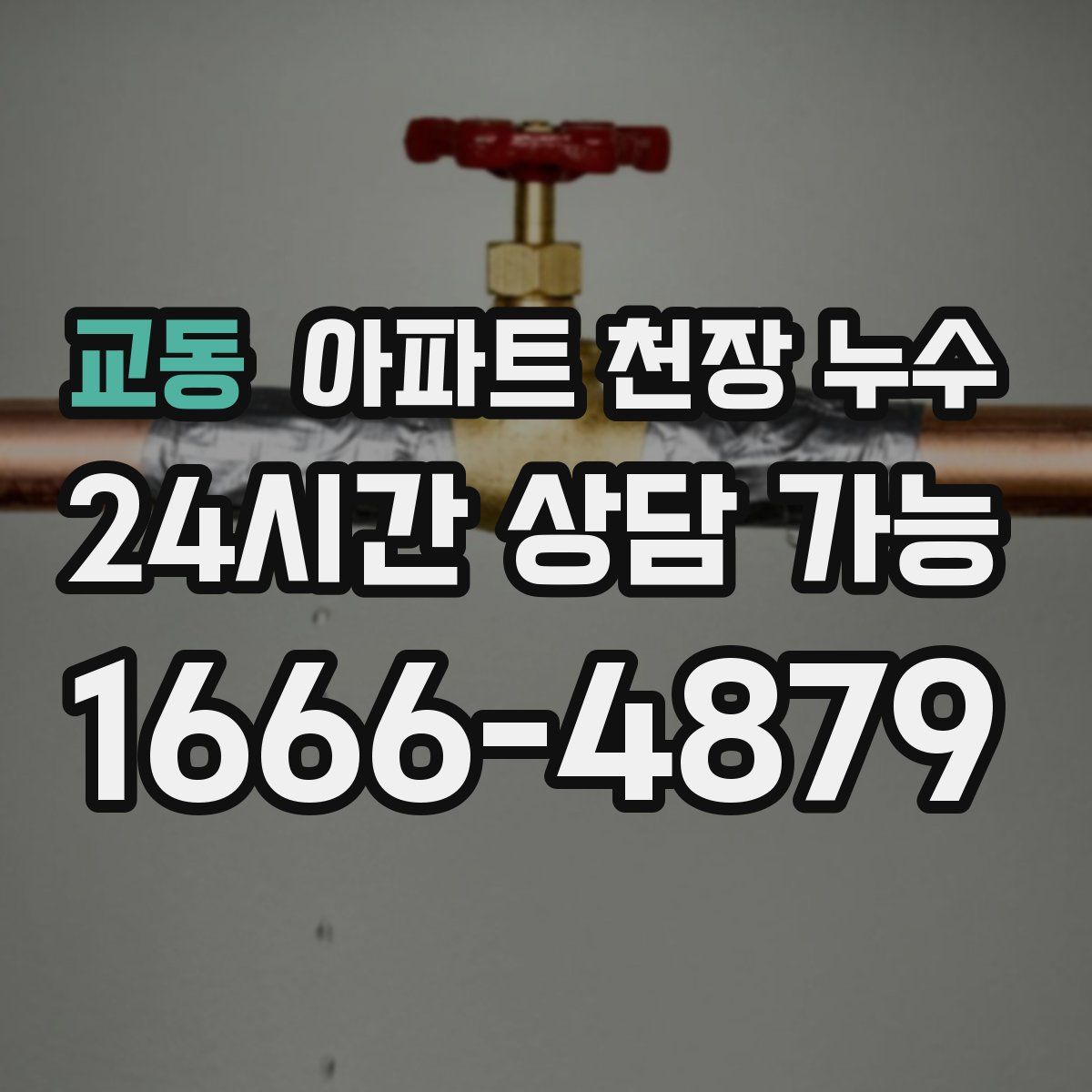 교동 아파트 천장 누수