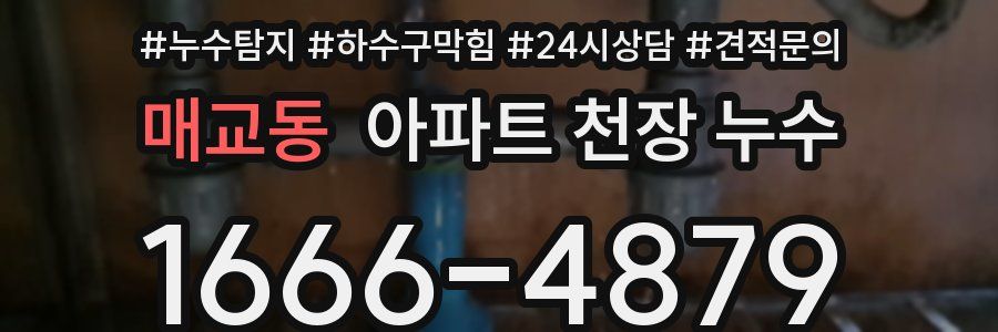 매교동 아파트 천장 누수