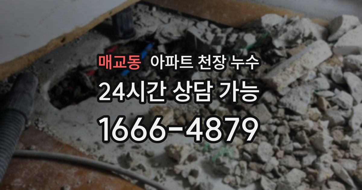 매교동 아파트 천장 누수