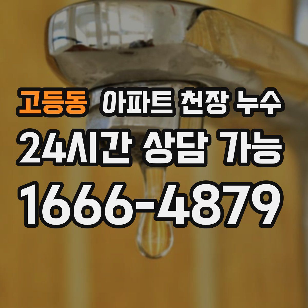 고등동 아파트 천장 누수