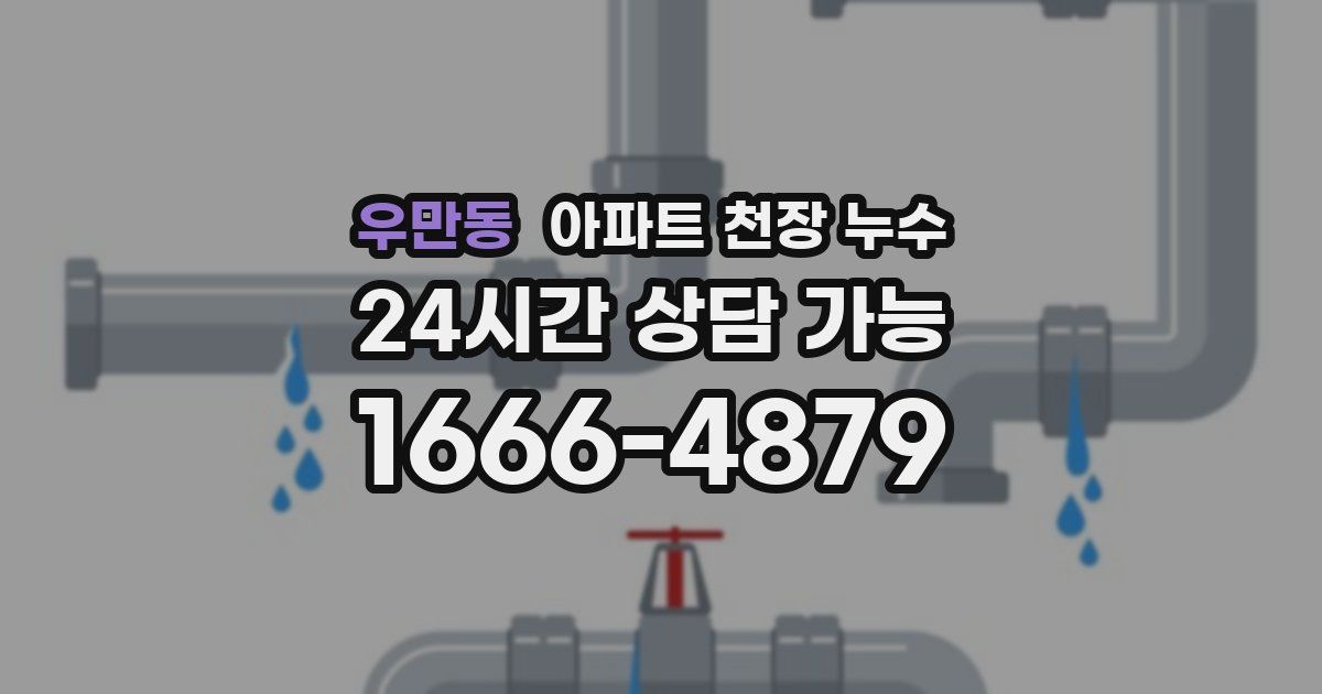 우만동 아파트 천장 누수