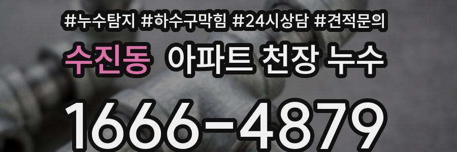 수진동 아파트 천장 누수