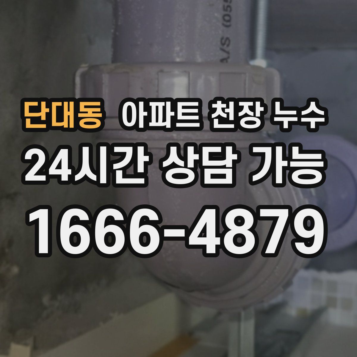 단대동 아파트 천장 누수