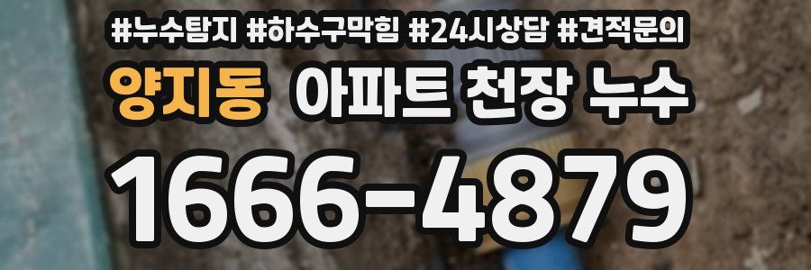 양지동 아파트 천장 누수