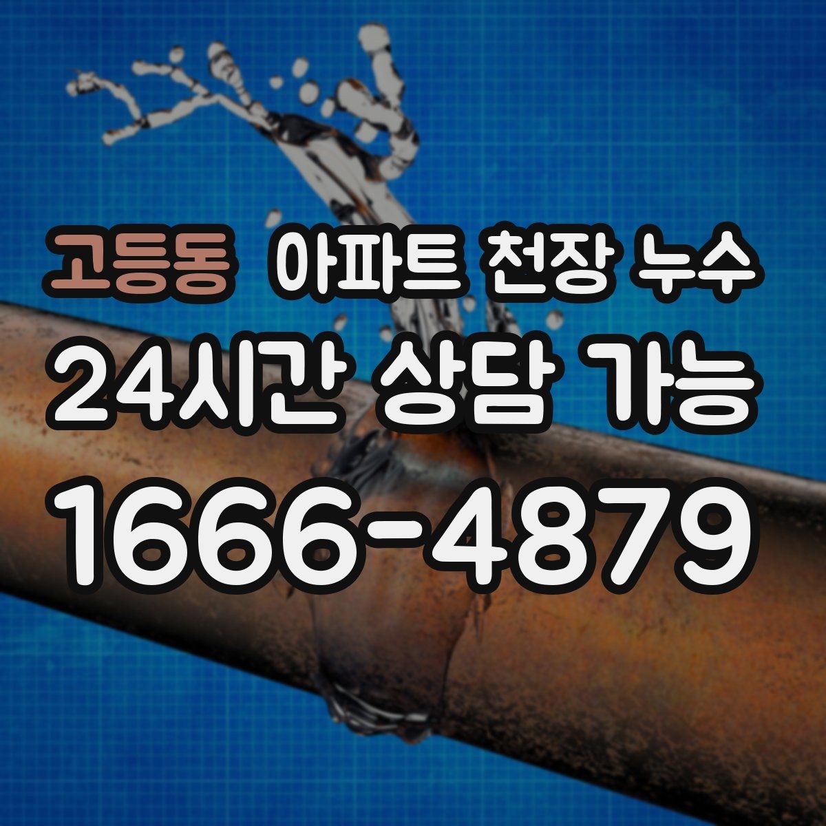 고등동 아파트 천장 누수