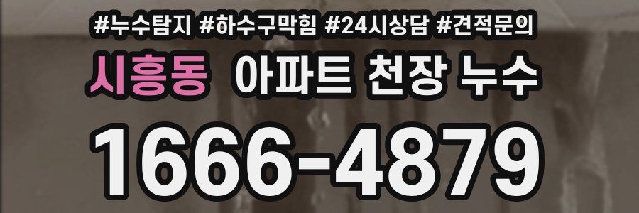 시흥동 아파트 천장 누수