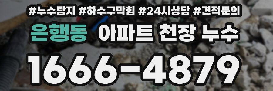 은행동 아파트 천장 누수