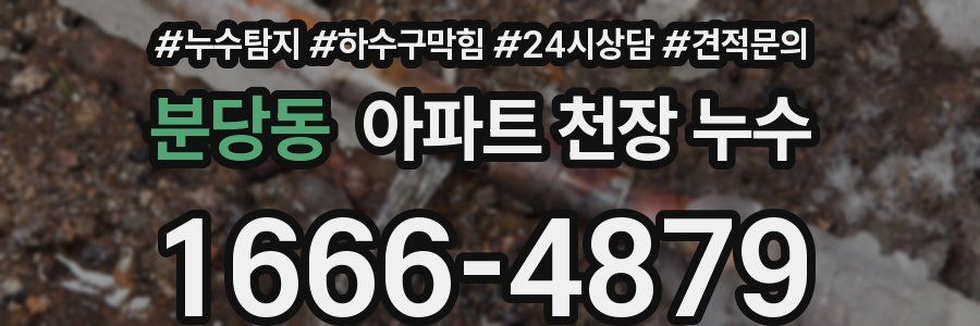 분당동 아파트 천장 누수