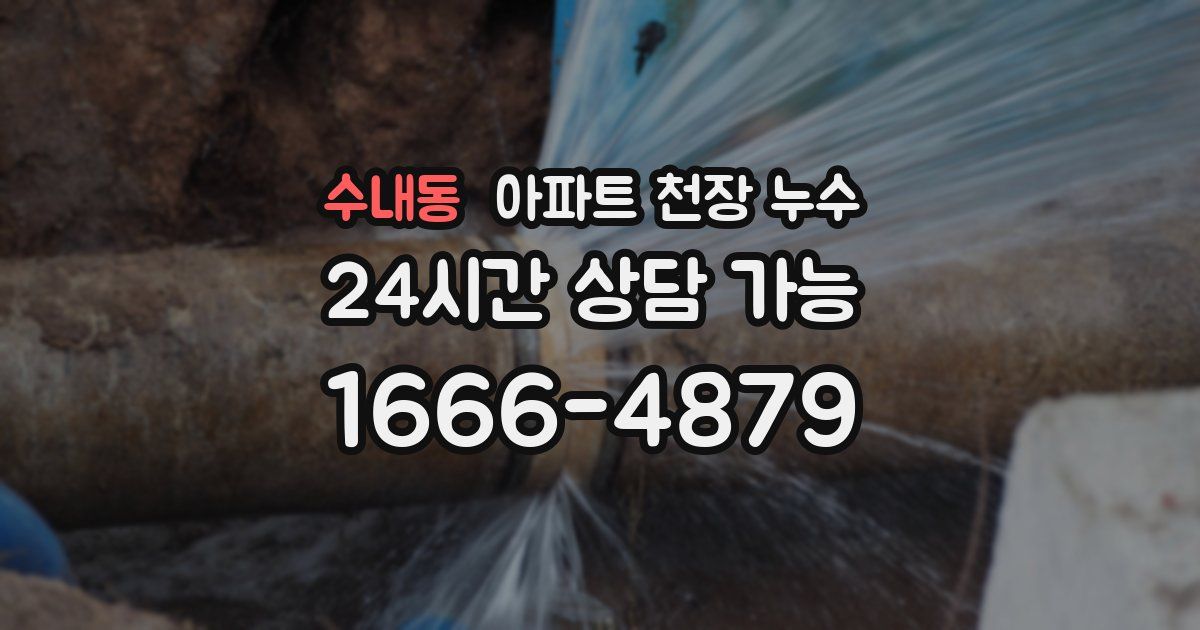 수내동 아파트 천장 누수