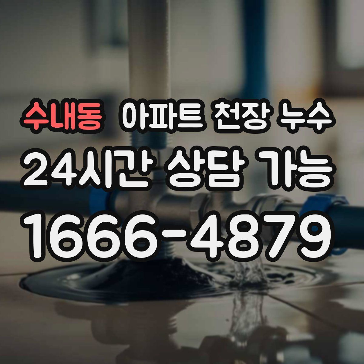 수내동 아파트 천장 누수