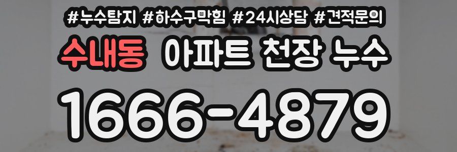 수내동 아파트 천장 누수