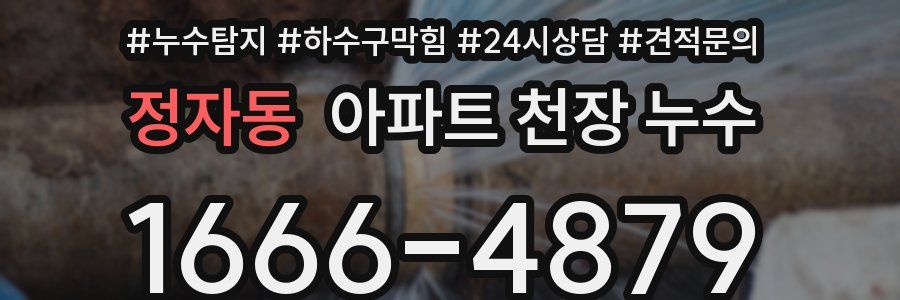정자동 아파트 천장 누수