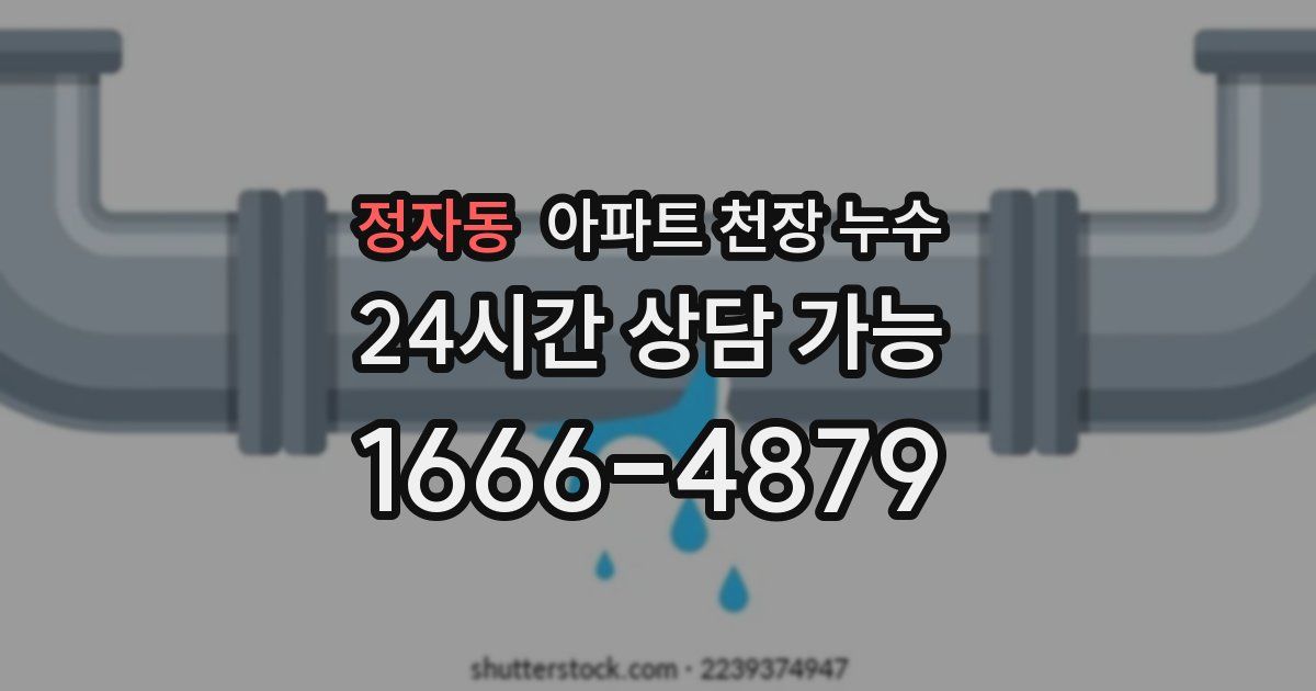 정자동 아파트 천장 누수