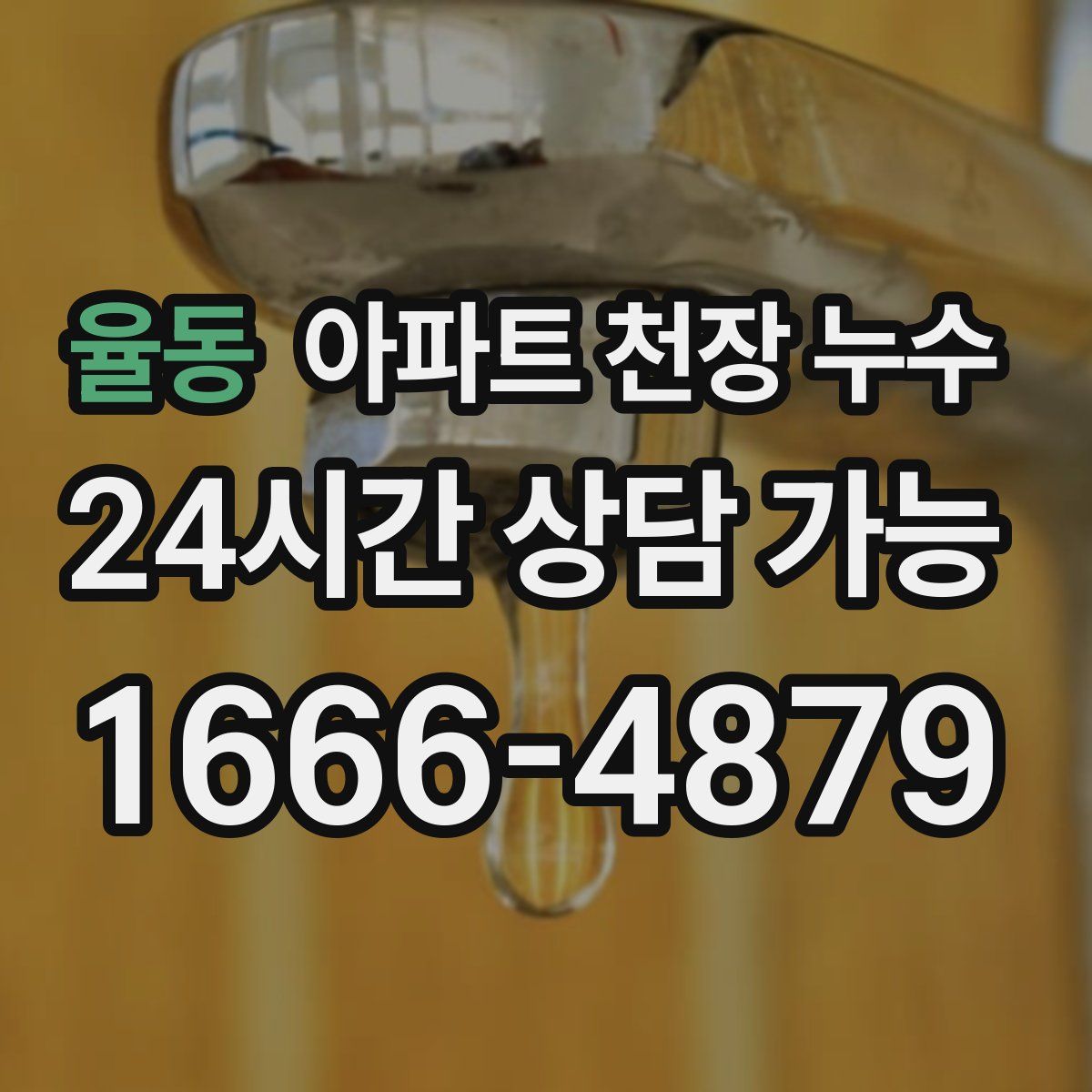 율동 아파트 천장 누수
