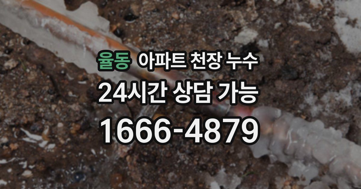 율동 아파트 천장 누수