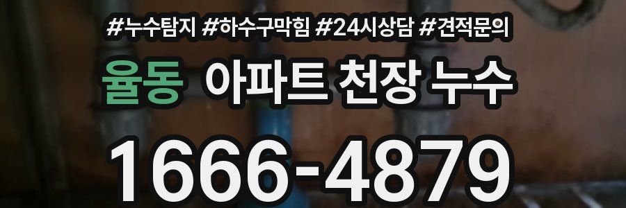 율동 아파트 천장 누수