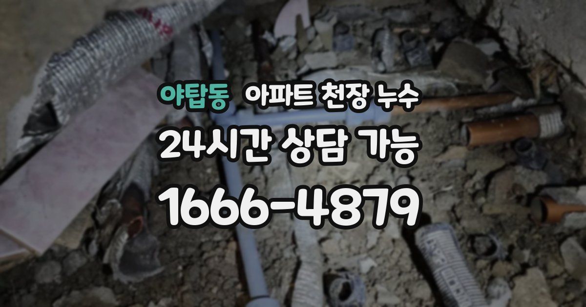 야탑동 아파트 천장 누수