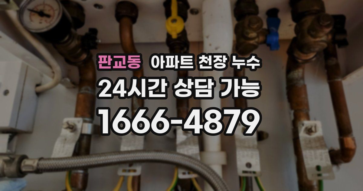 판교동 아파트 천장 누수