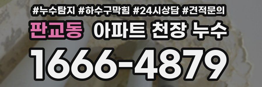 판교동 아파트 천장 누수