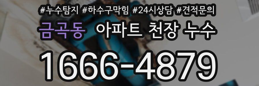 금곡동 아파트 천장 누수