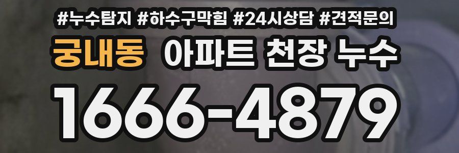 궁내동 아파트 천장 누수