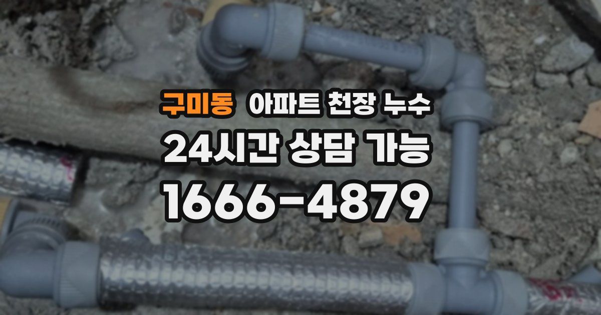 구미동 아파트 천장 누수