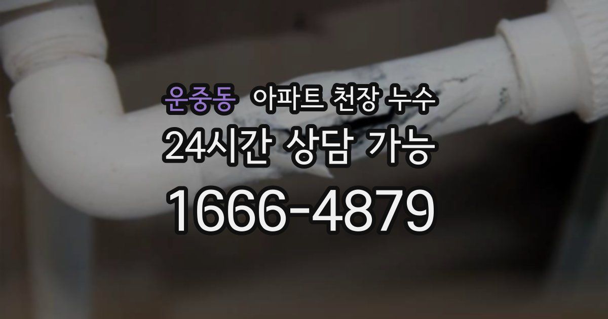 운중동 아파트 천장 누수