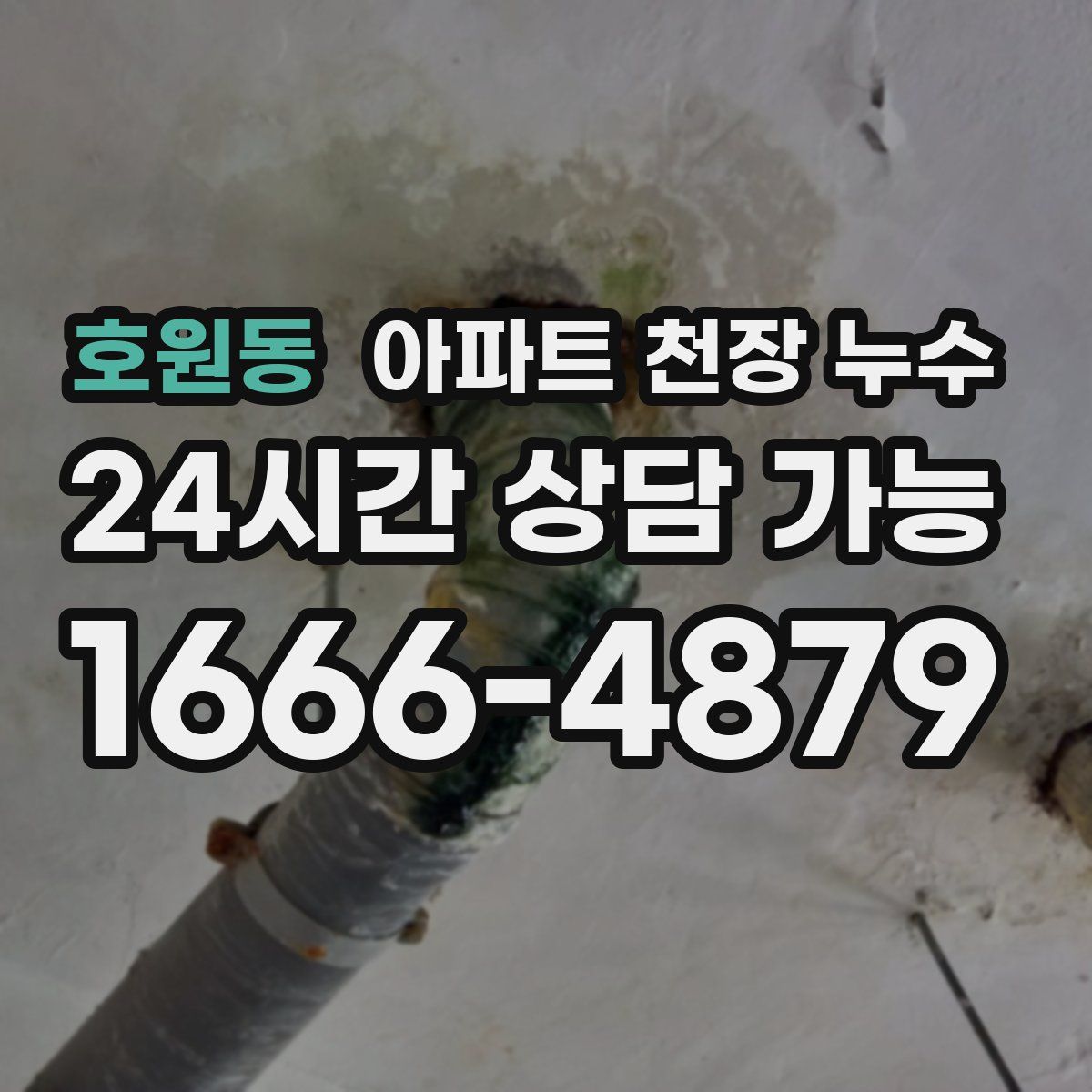 호원동 아파트 천장 누수