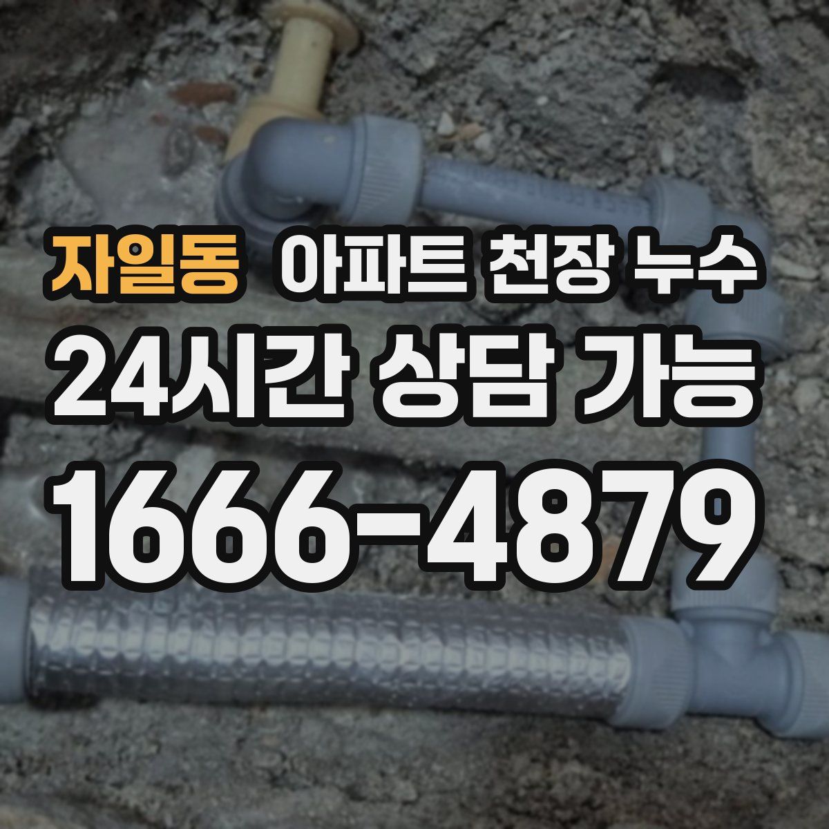 자일동 아파트 천장 누수