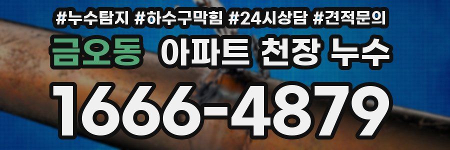 금오동 아파트 천장 누수