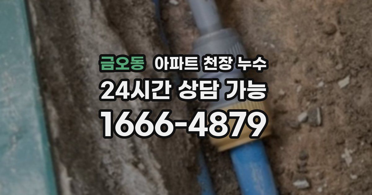 금오동 아파트 천장 누수