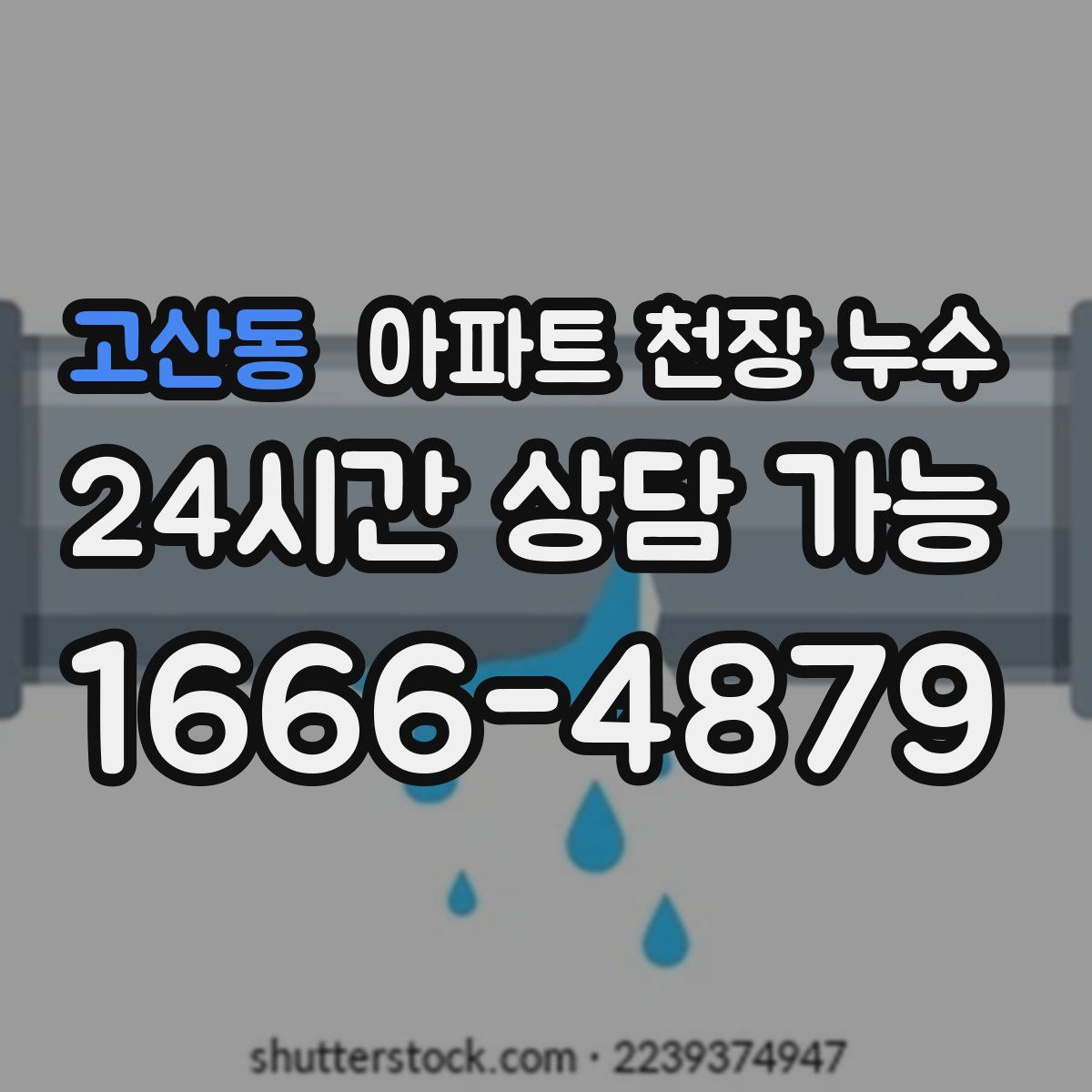 고산동 아파트 천장 누수