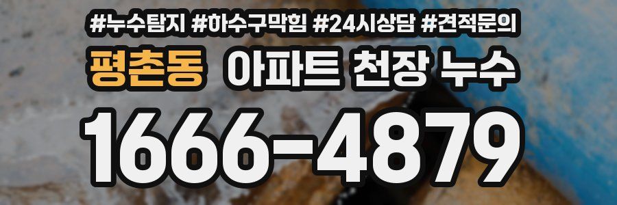 평촌동 아파트 천장 누수