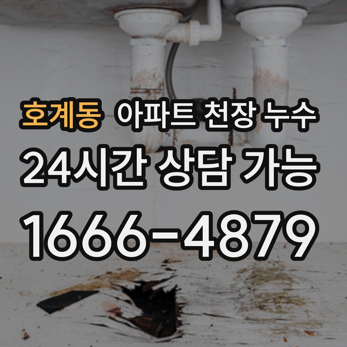 호계동 아파트 천장 누수