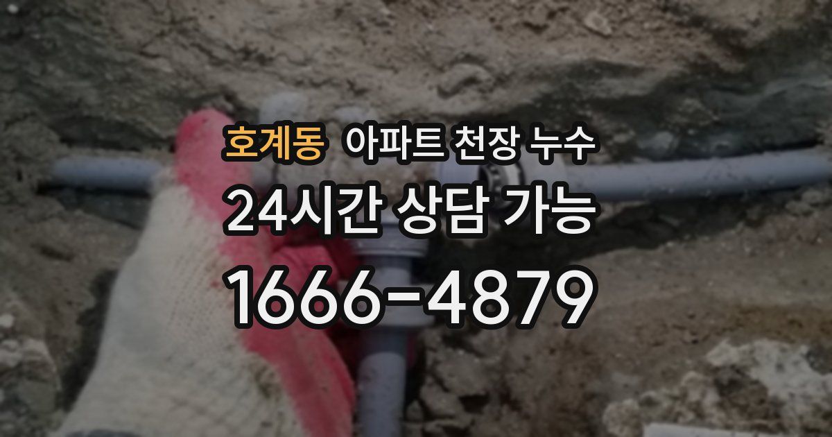 호계동 아파트 천장 누수