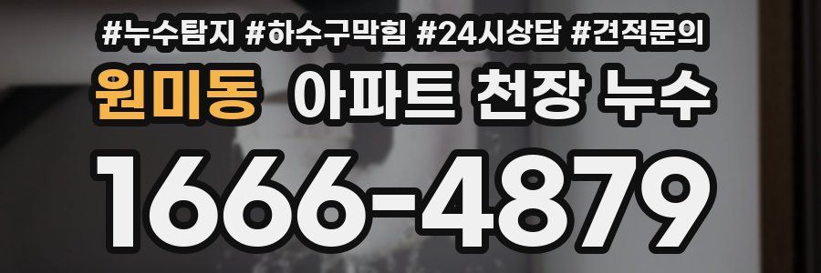 원미동 아파트 천장 누수